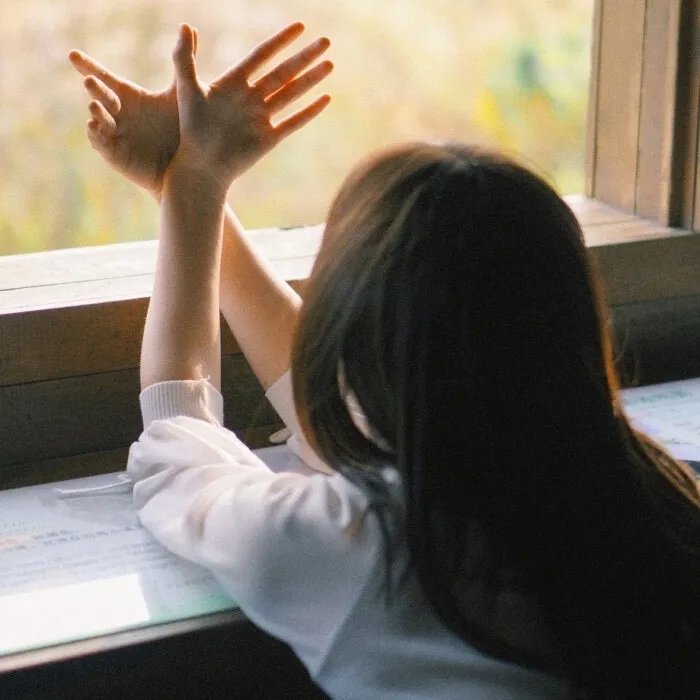 金鳞化龙掌乾坤